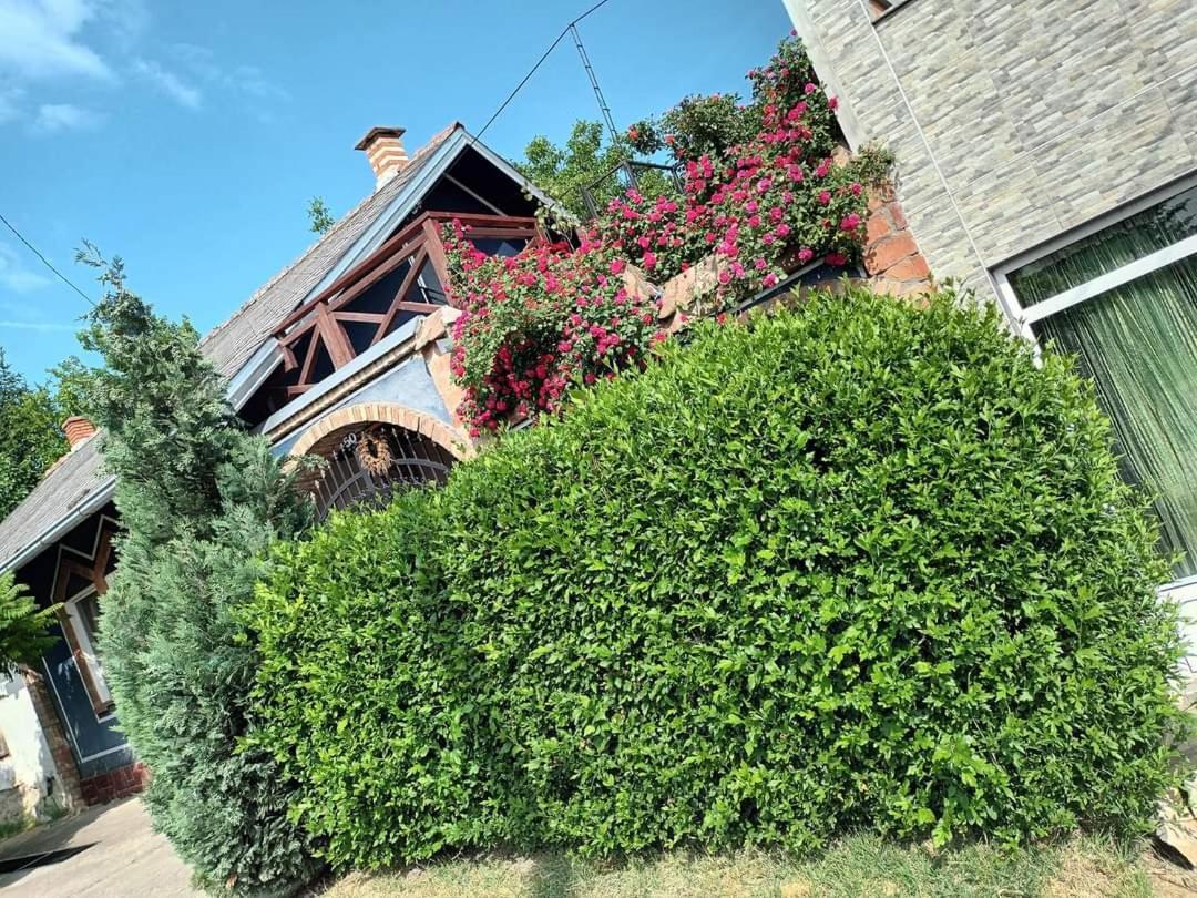 Apartman Vrdnicak Vrdnik Exterior foto