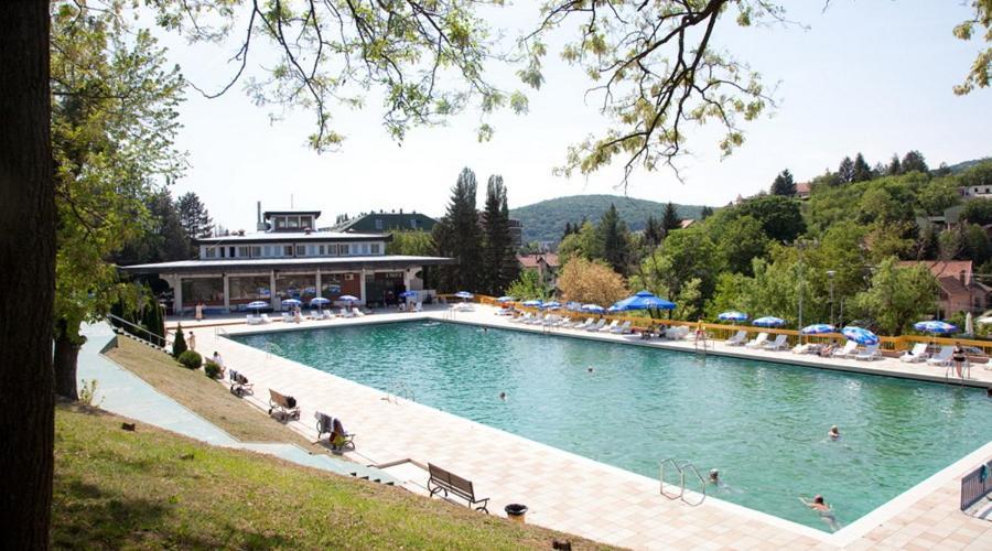 Apartman Vrdnicak Vrdnik Exterior foto