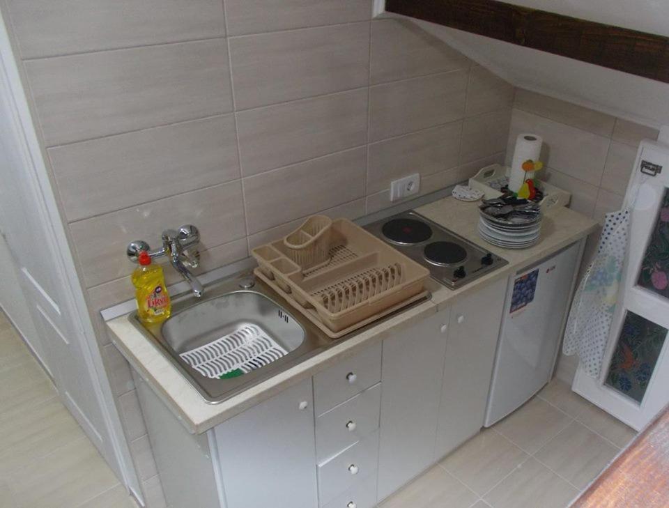 Apartman Vrdnicak Vrdnik Exterior foto