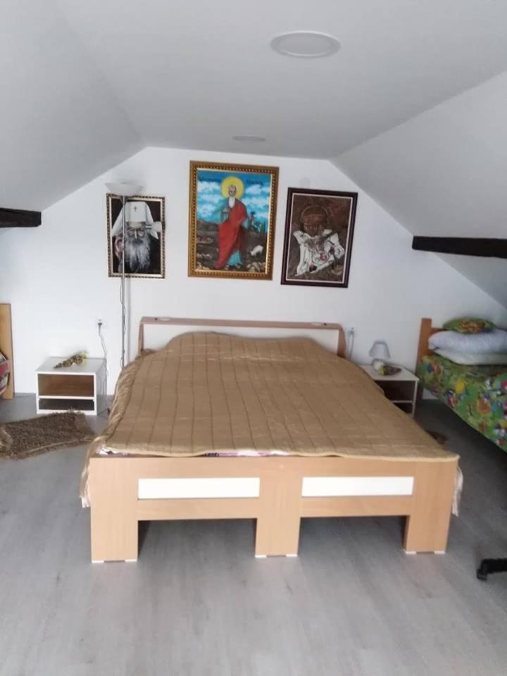 Apartman Vrdnicak Vrdnik Exterior foto
